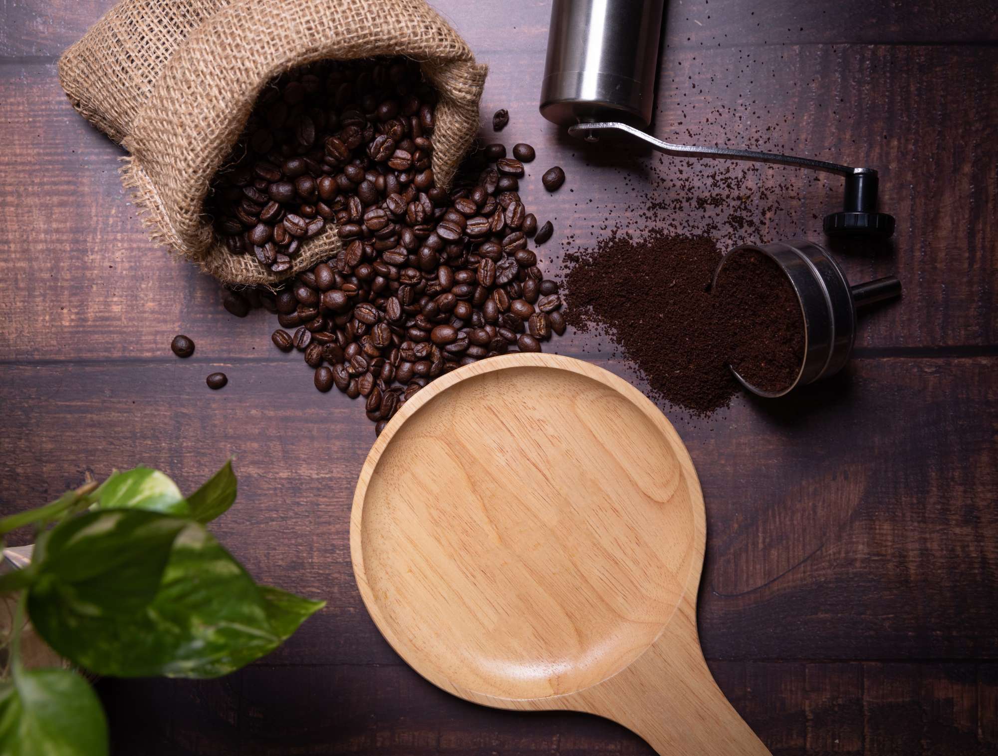 coffee-beans-ground-powder.jpg