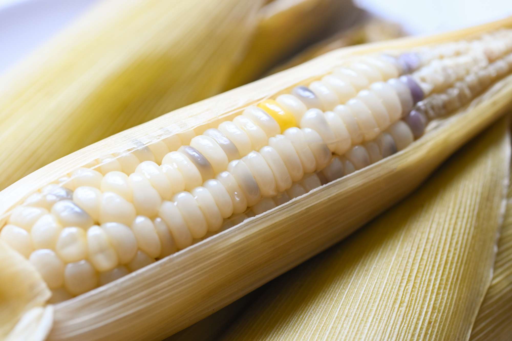 close-up-corn.jpg