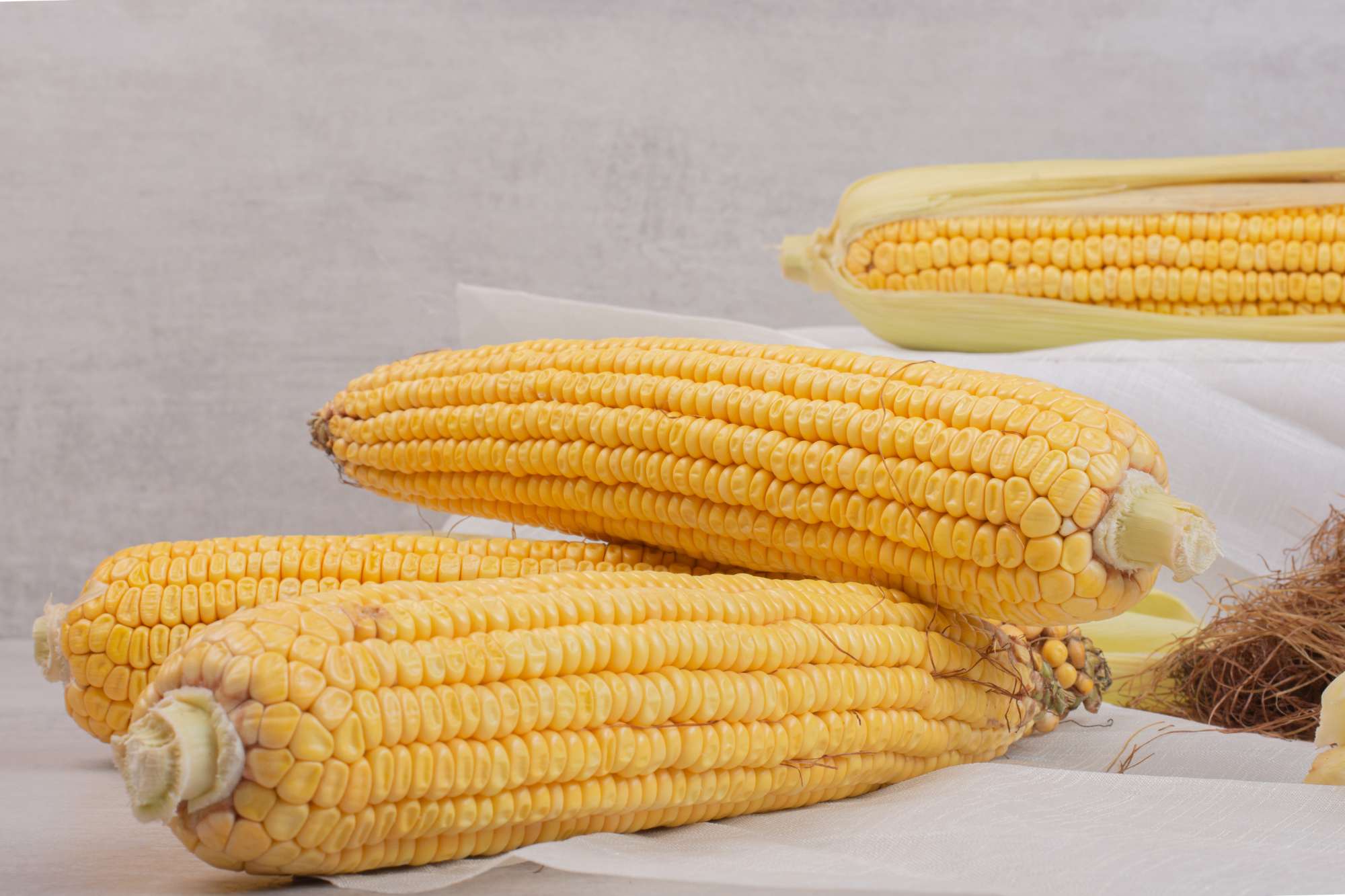 fresh-corns-cobs-white.jpg