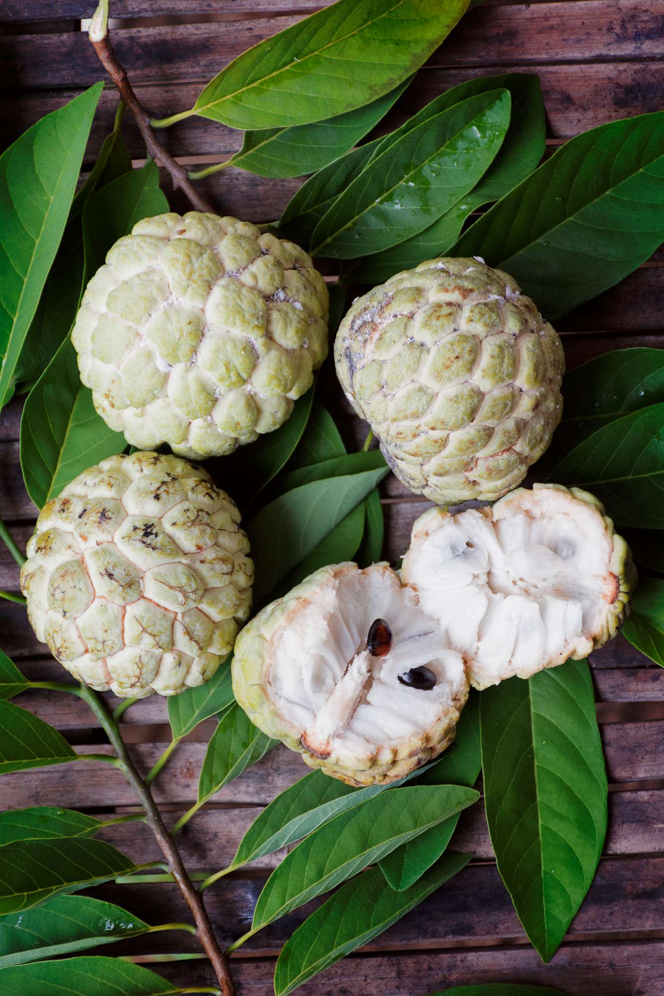 high-angle-view-fruits-leaves.jpg