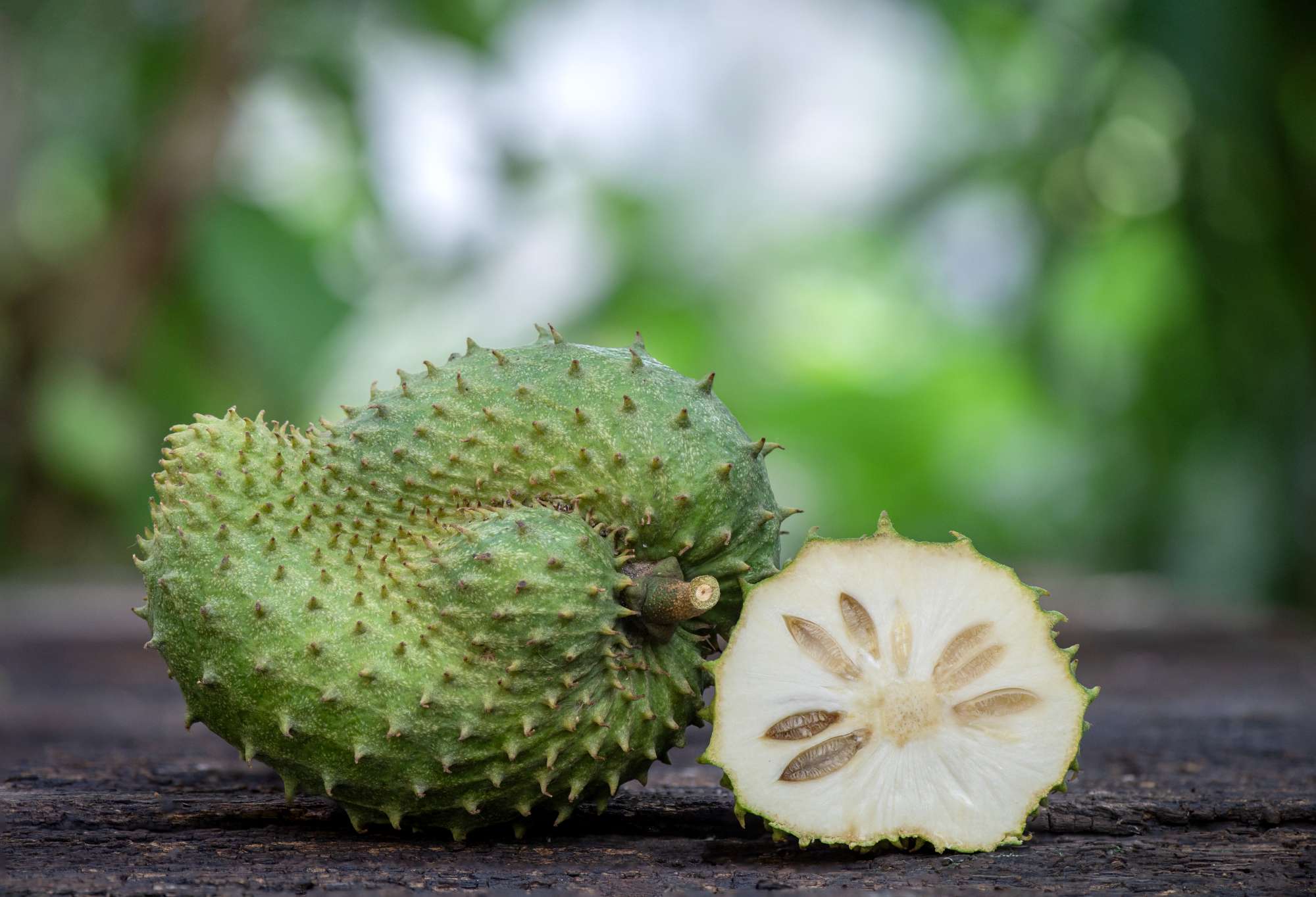 soursop-annona-muricata-fruits-nature-(2).jpg