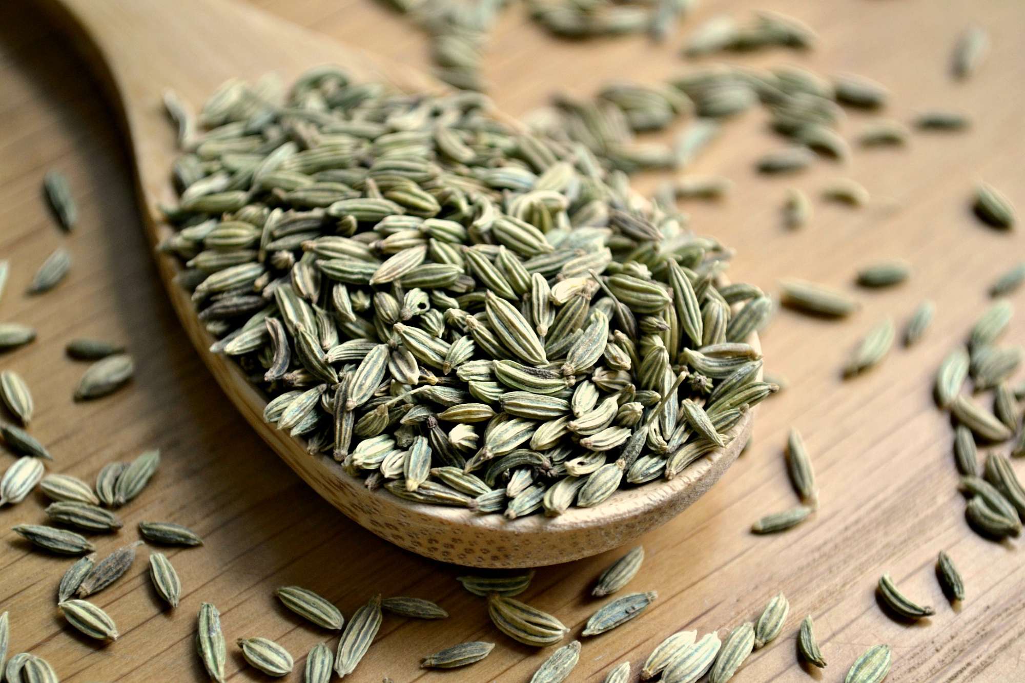 -crocus-media-fennel-seeds.jpg