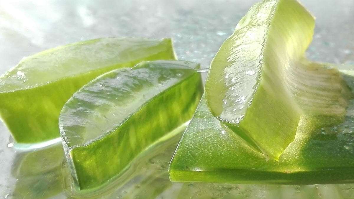 aloeveraforhair.jpg