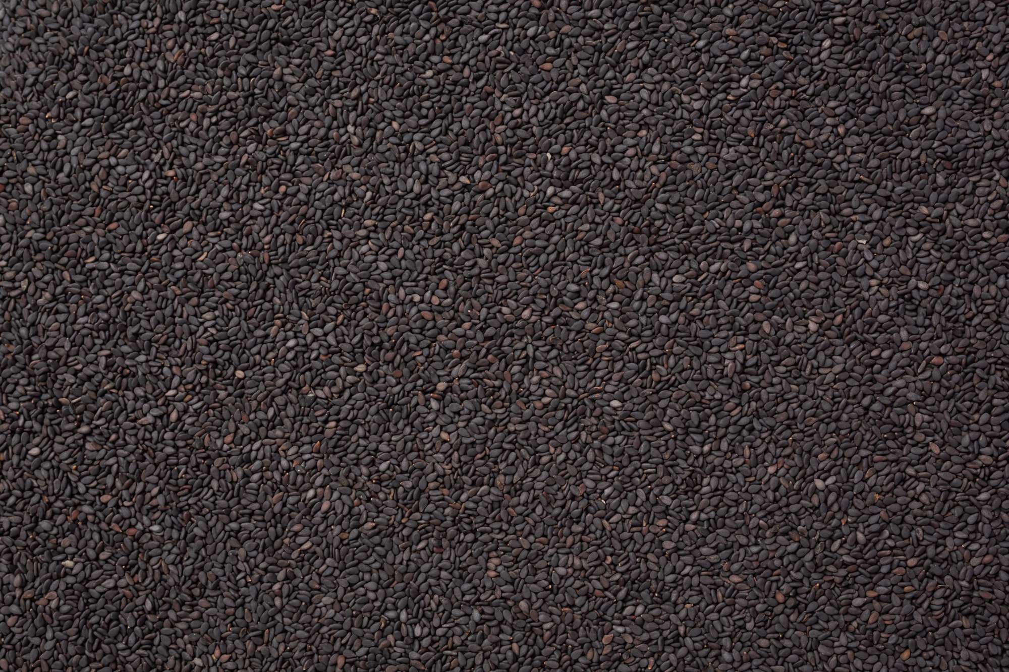 black-sesame-dark-background-(3).jpg