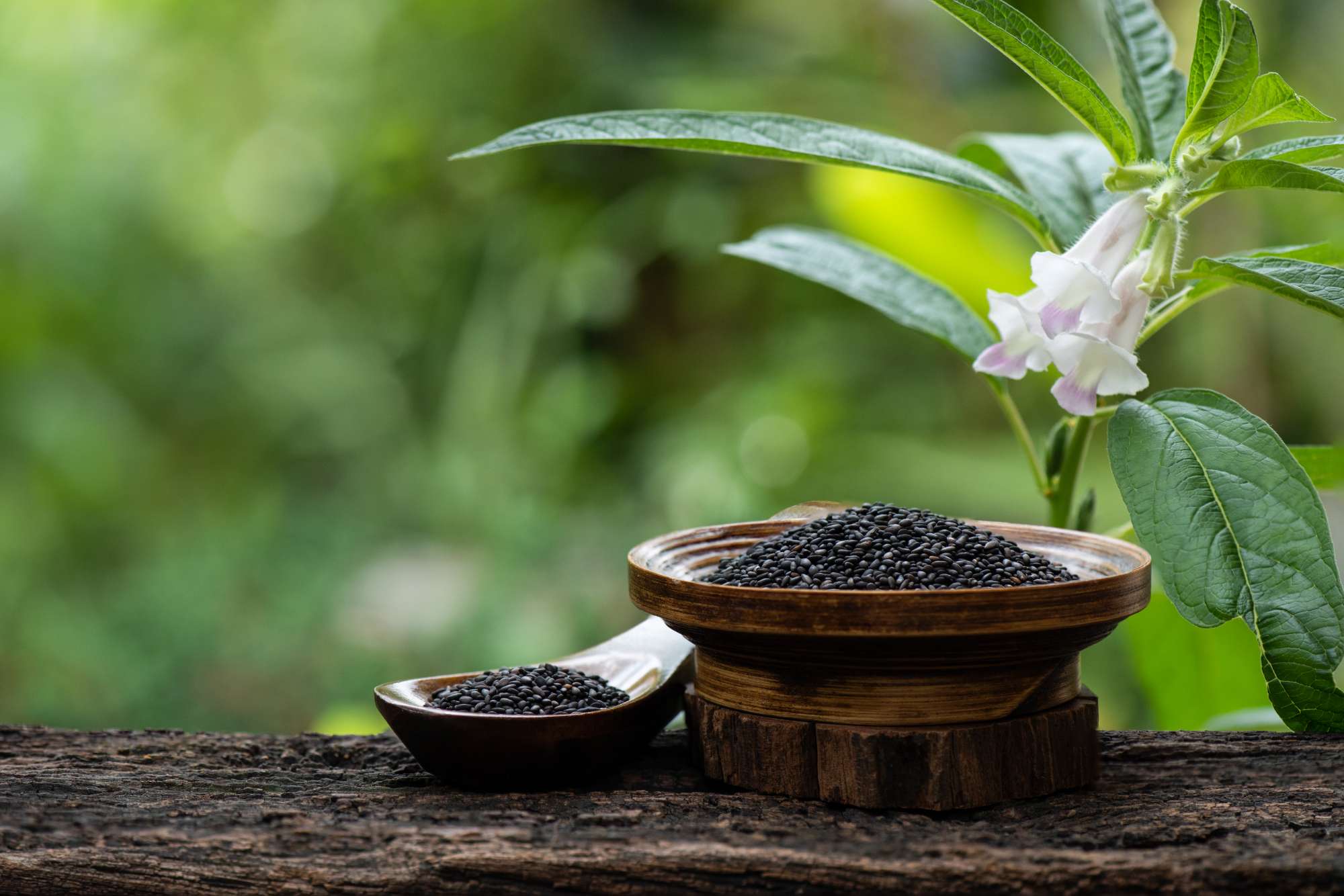 black-sesame-seeds-tree-nature-background.jpg