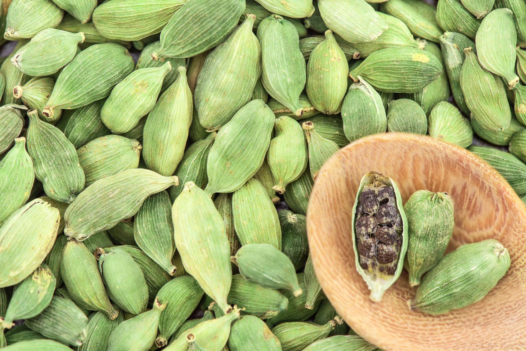 cardamom-elettaria-cardamomum-isolated-white-background-top-view-flat-lay.jpg