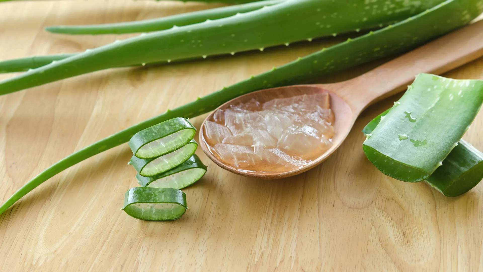 crocusmediaaloeveragel.jpg