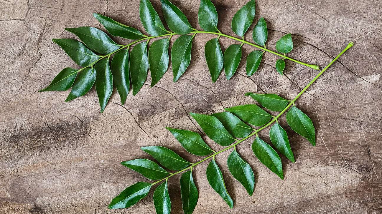 curry-leaves-1296x728-header.jpg