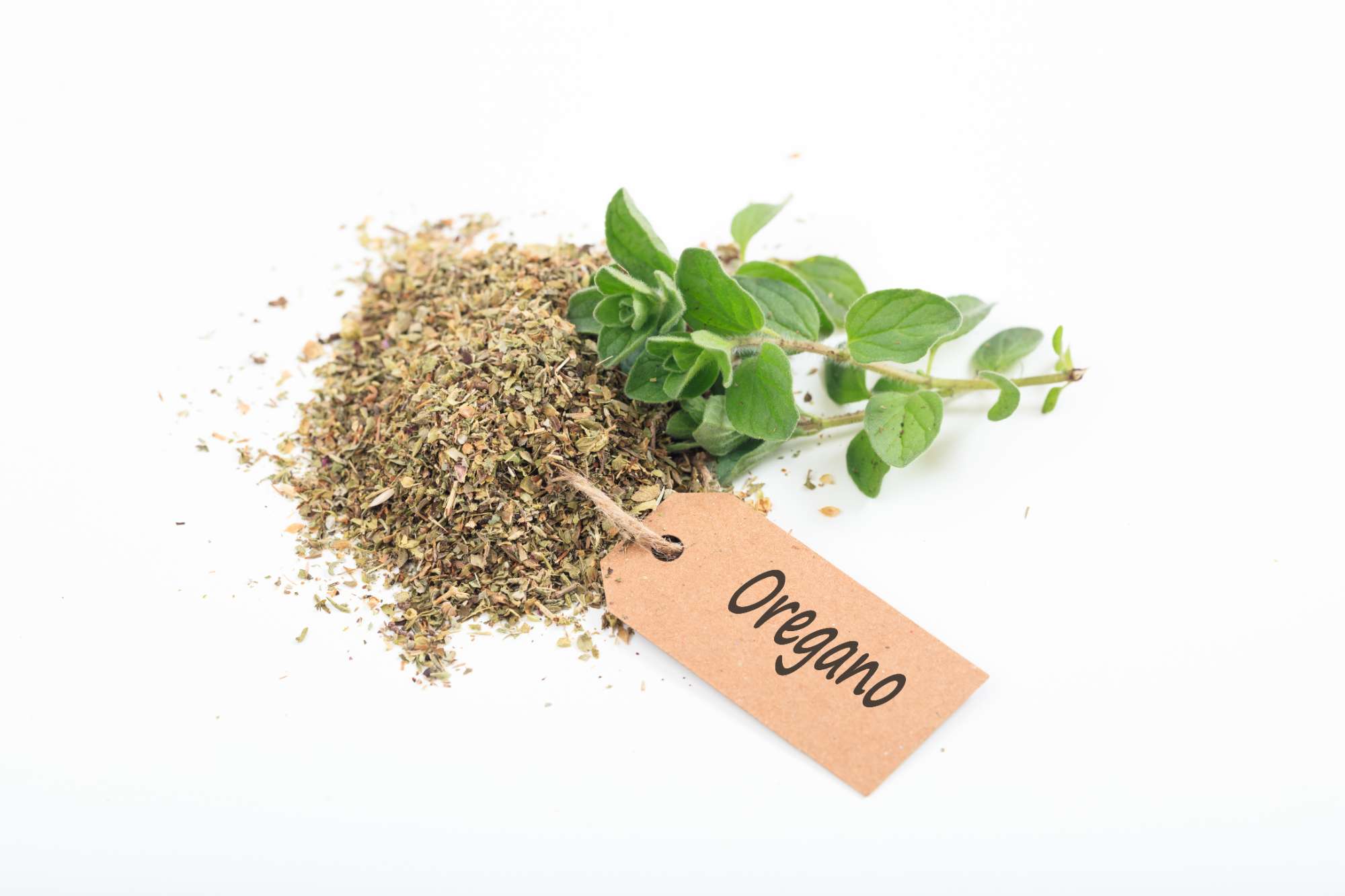 fresh-dried-oregano-white-background.jpg