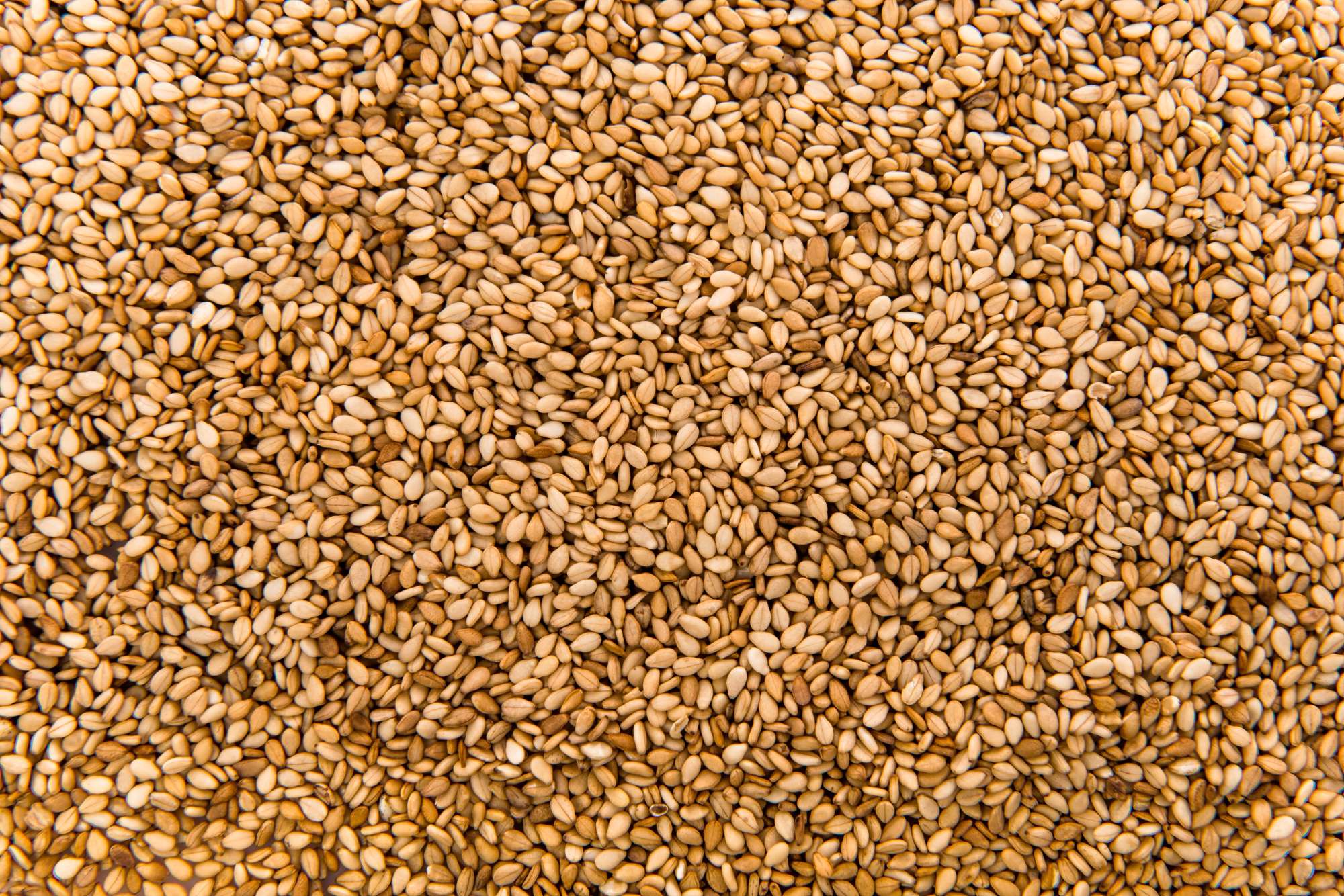 golden-sesame.jpg