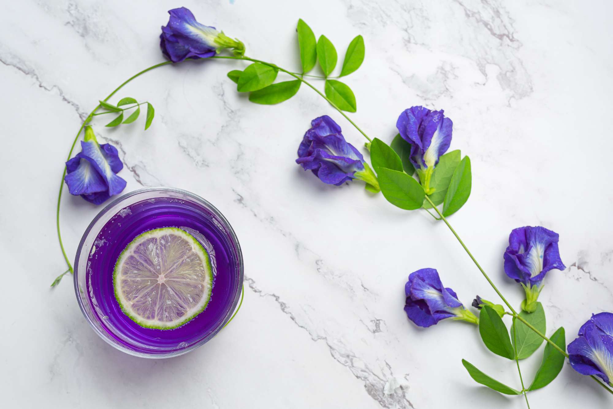 healthy-drink-organic-blue-pea-flower-tea-with-lemon-lime.jpg