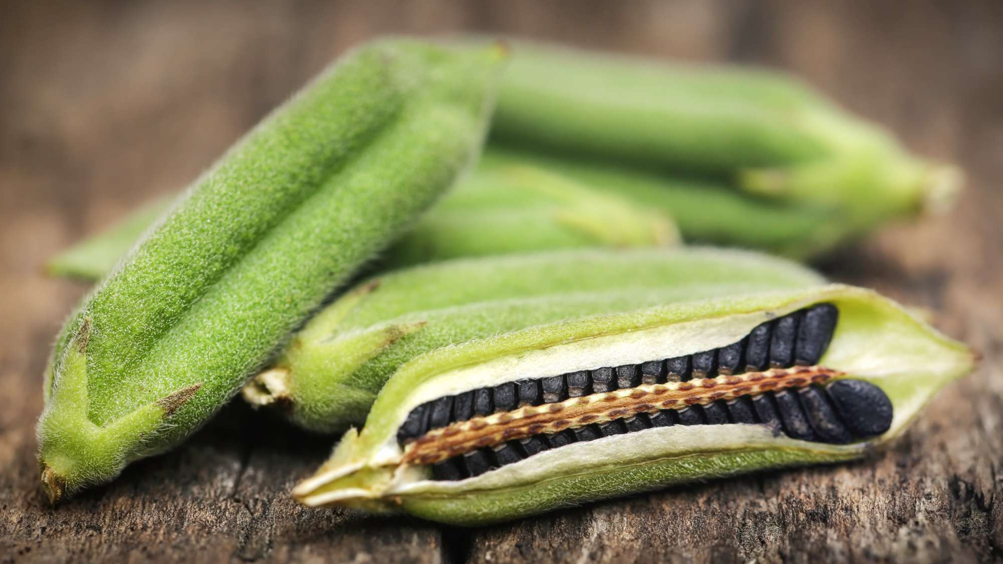 sesame-seeds-with-pods-wooden-surface-(1).jpg