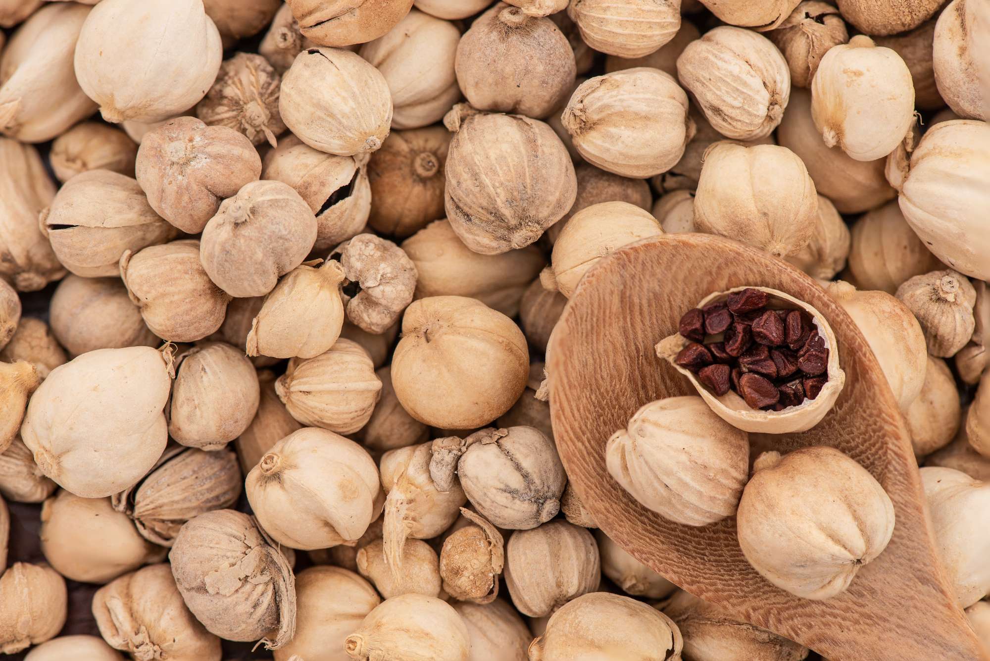 siam-cardamom-amomum-verum-fruits-isolated-white-background-top-view-flat-lay.jpg