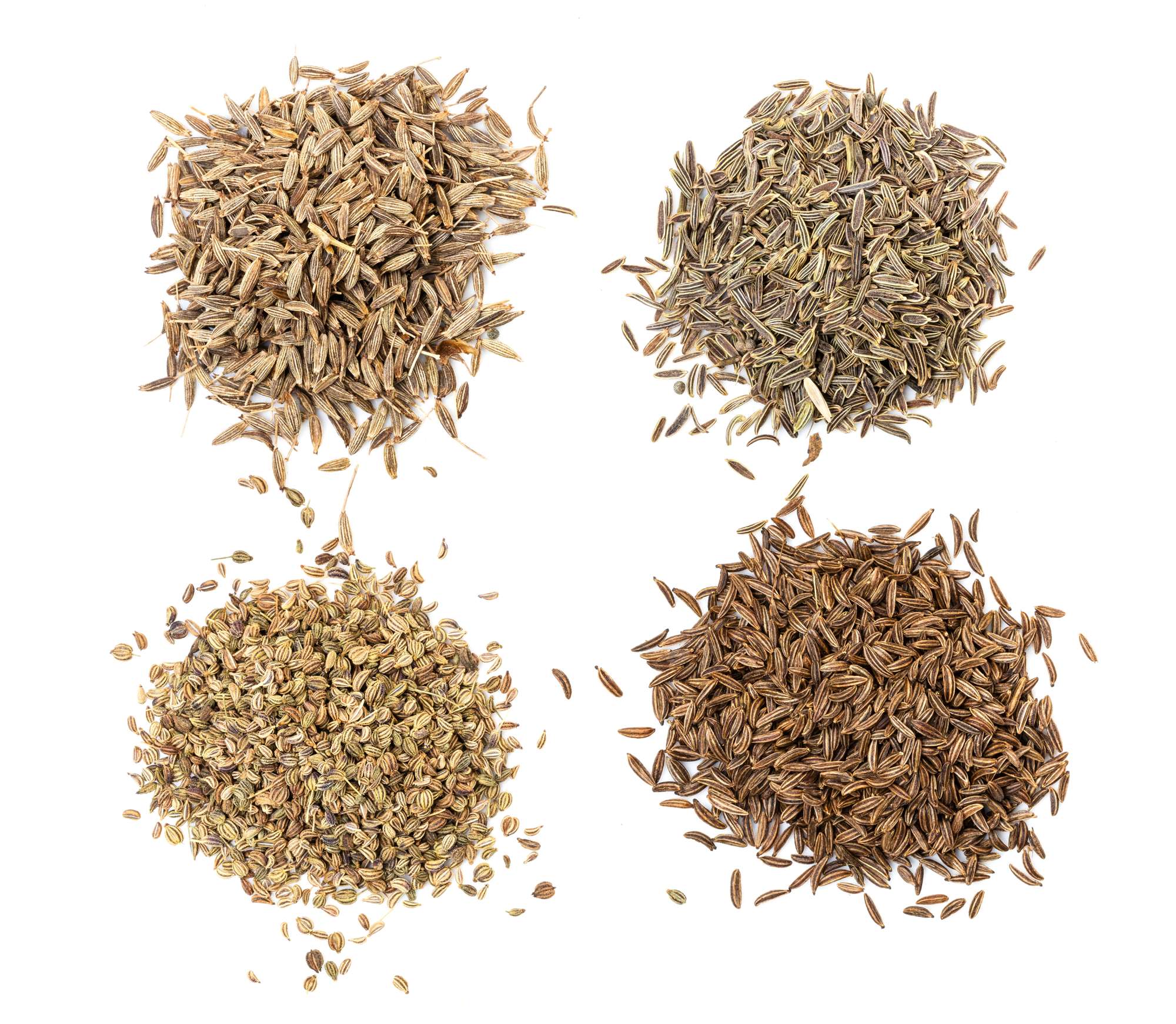 various-caraway-like-seeds-white-plate.jpg