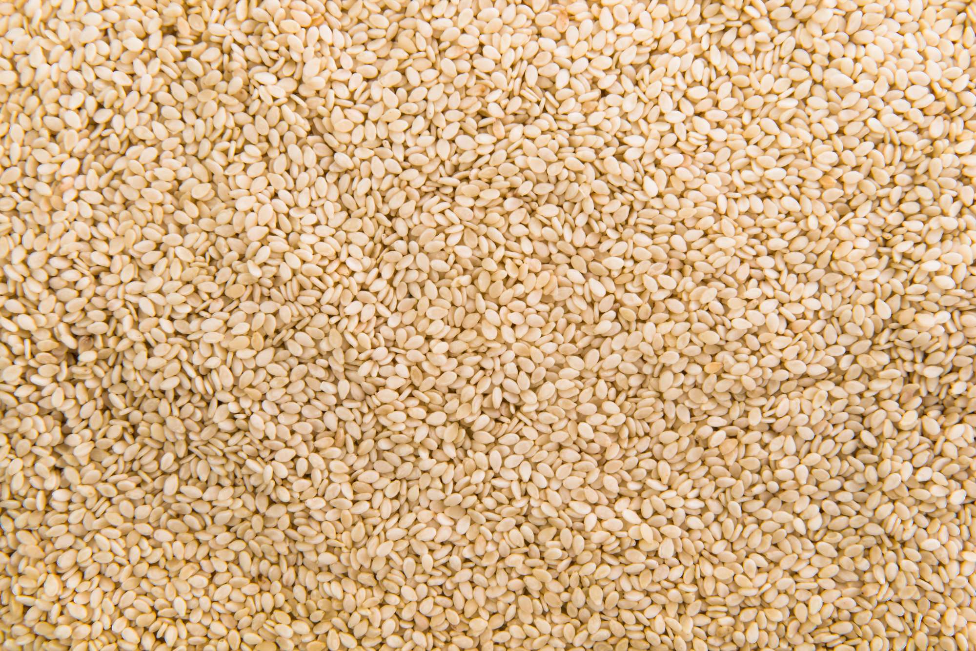 white-sesame.jpg