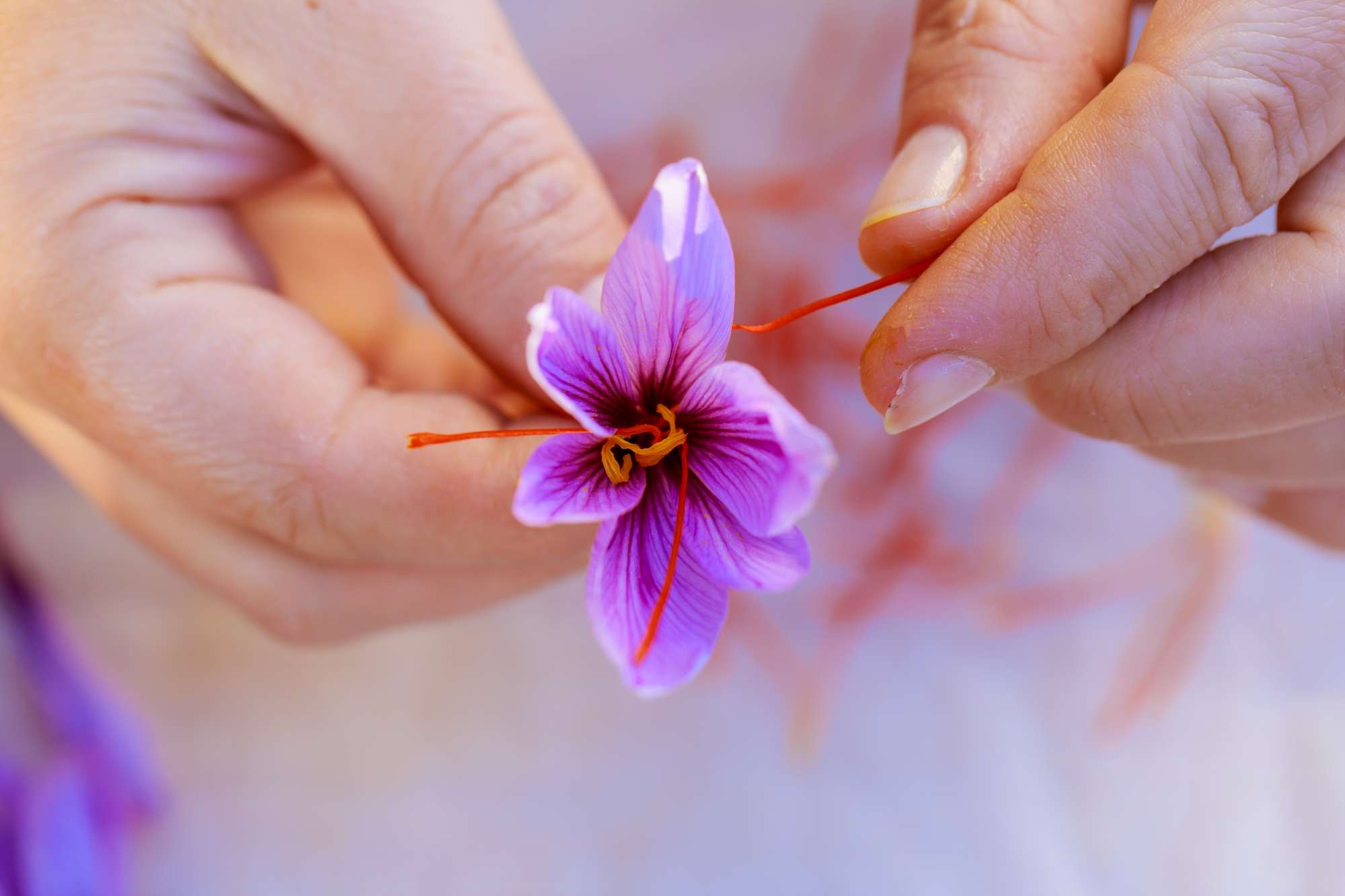 how do you store saffron