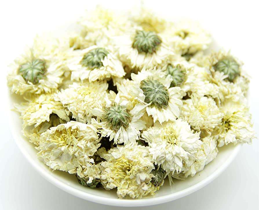 white-chrysanthemum.jpg