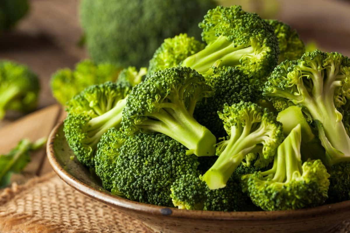 broccoli-1200x800.jpg