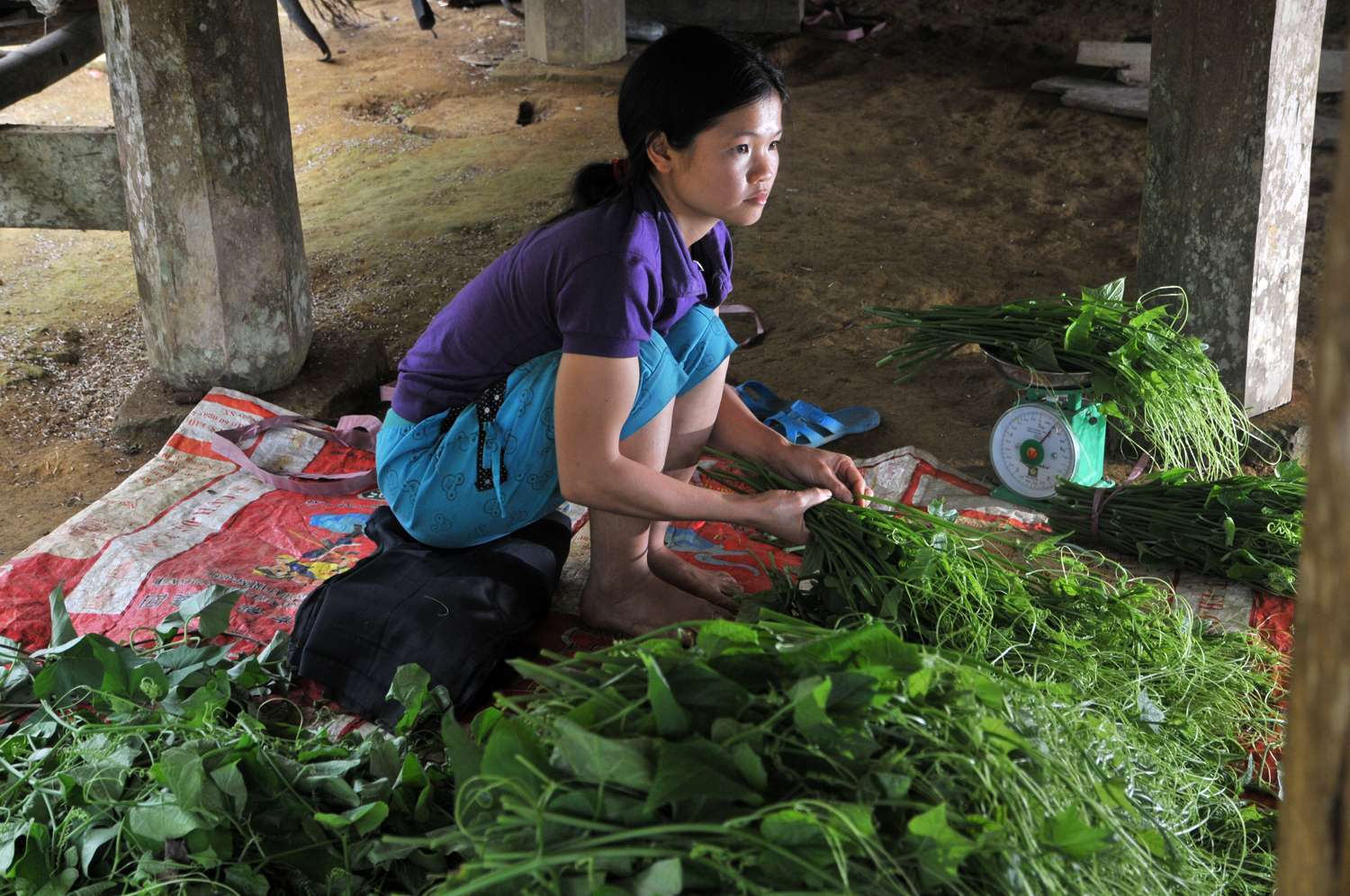 chayote-vegetable.jpg