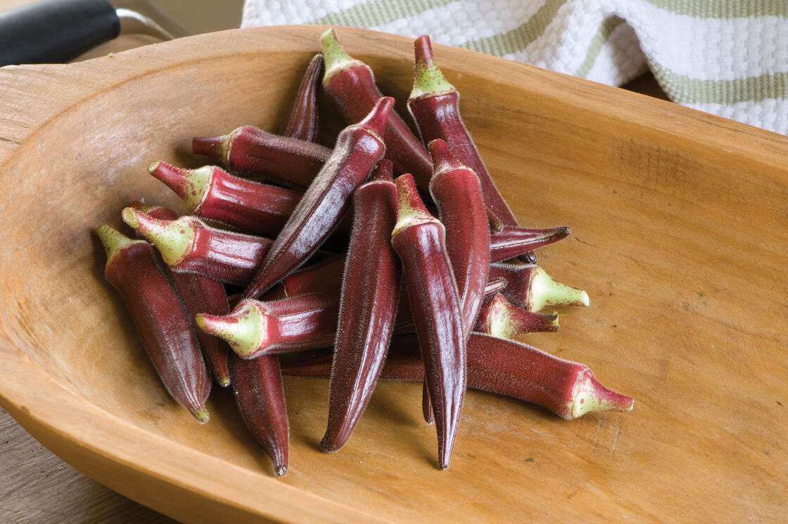 crocus-red-okra.jpg