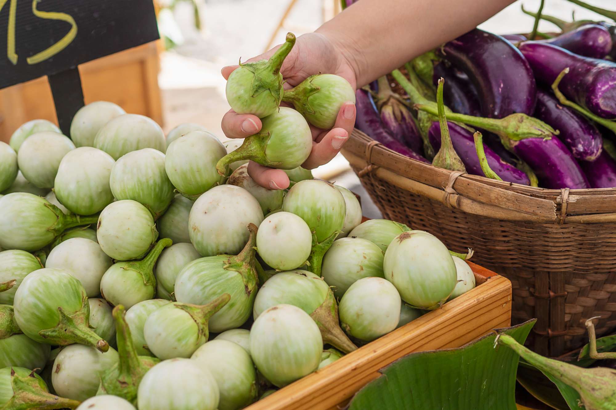 people-buy-fresh-eggplant-local-market-customer-vegetables-market-concept.jpg