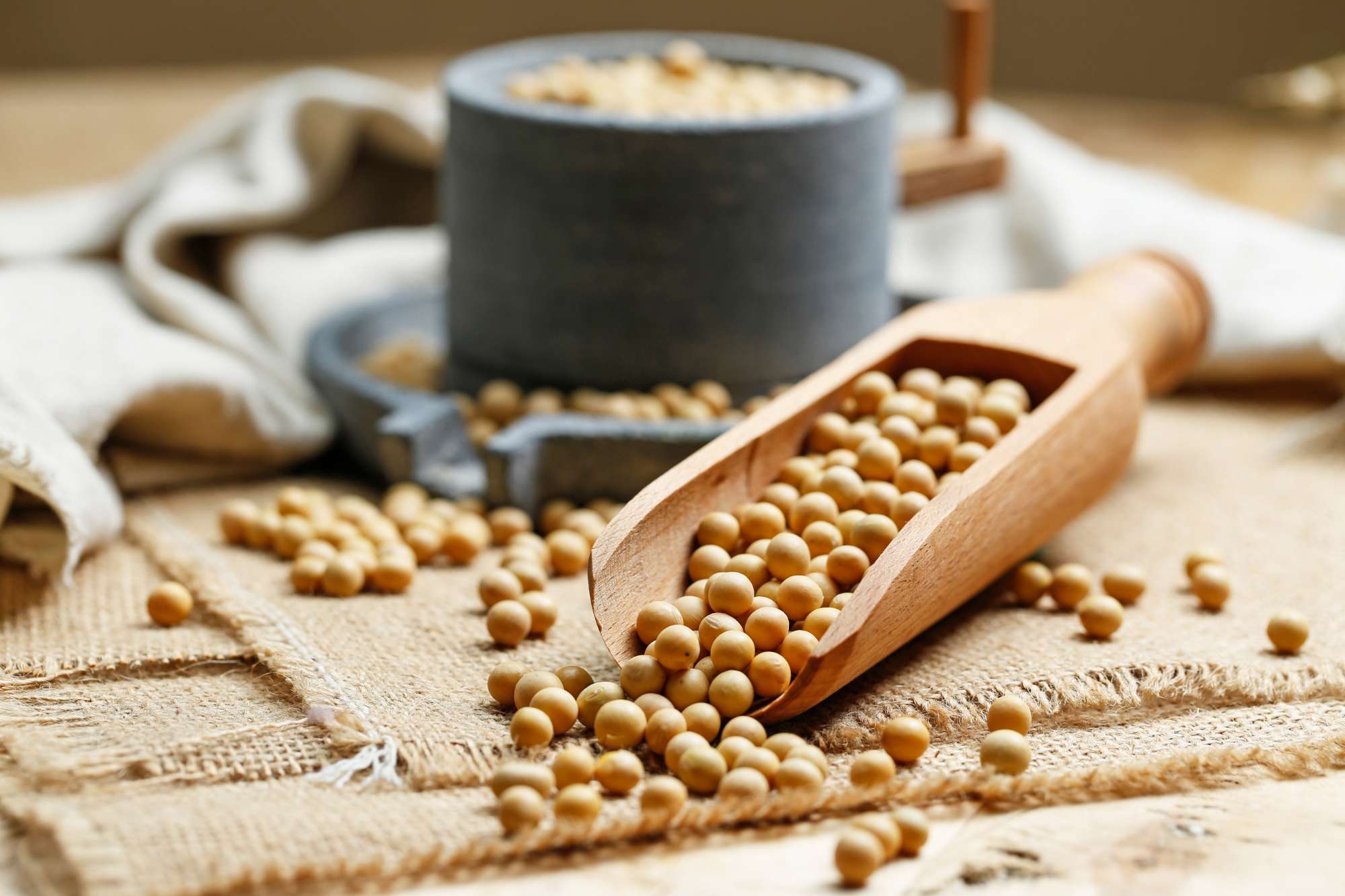 soybeans-wooden-scoop-little-stone-mill.jpg