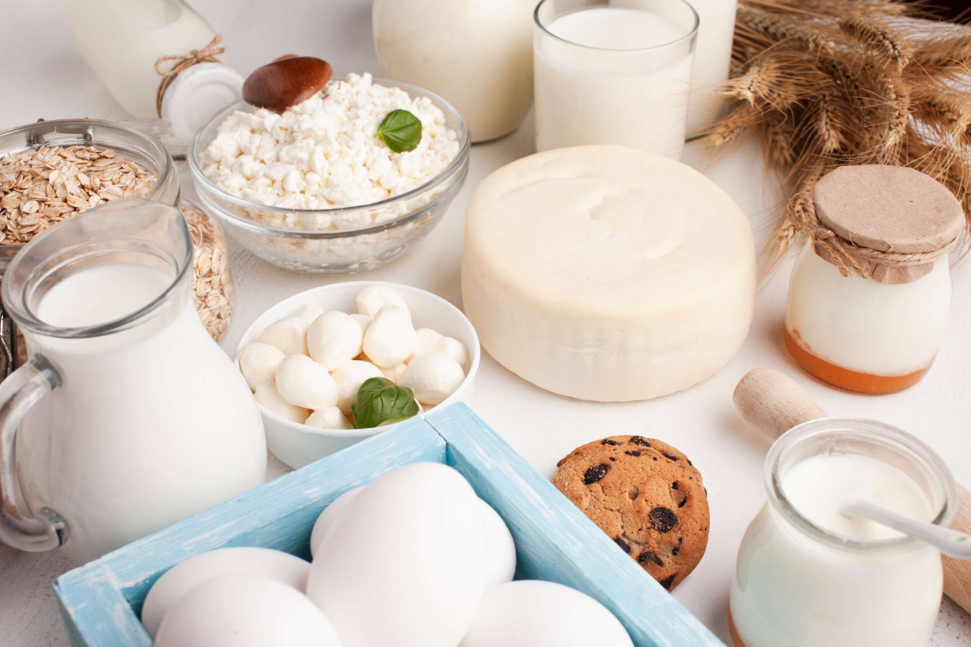 variety-dairy-products-cookies.jpg